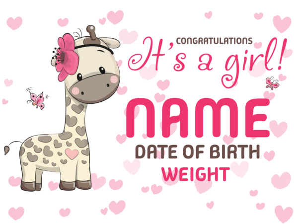 Baby-Girl-Pink-Template-1_24x18-yard#0001
